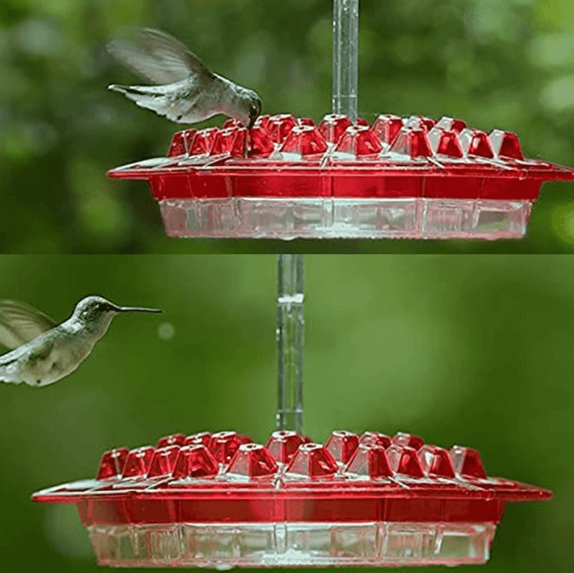 Amtn Club | Mangeoire à Colibris Anti-Fourmis avec Perchoir Suspendu