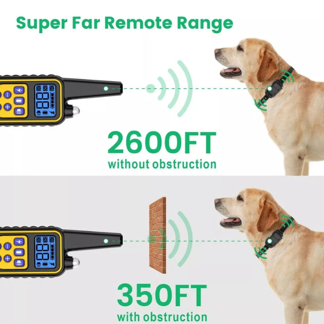 Amtn Club | Collier de Dressage Électronique Chien – Norvo