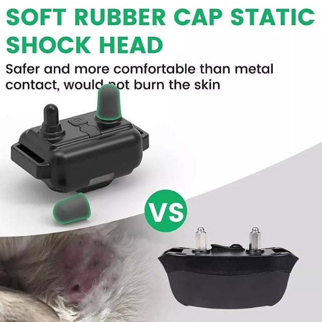 Amtn Club | Collier de Dressage Électronique Chien – Norvo