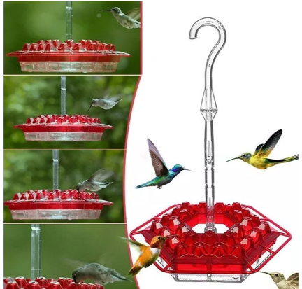 Amtn Club | Mangeoire à Colibris Anti-Fourmis avec Perchoir Suspendu