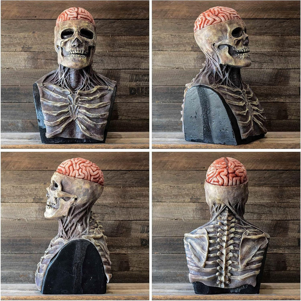 Masque Crâne avec Détail Cerveau – Amtn Club