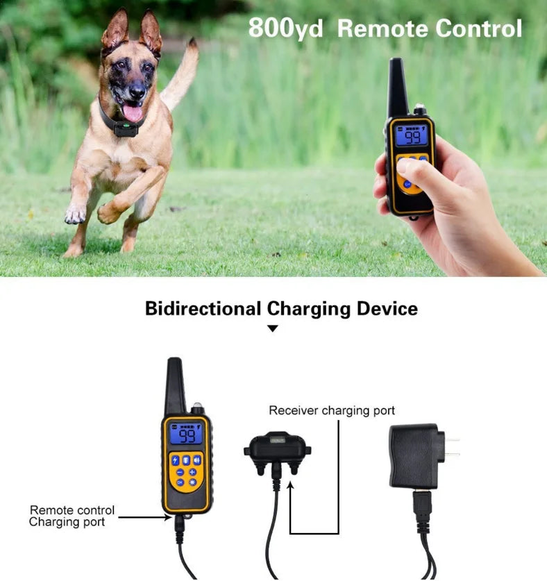 Amtn Club | Collier de Dressage Électronique Chien – Norvo