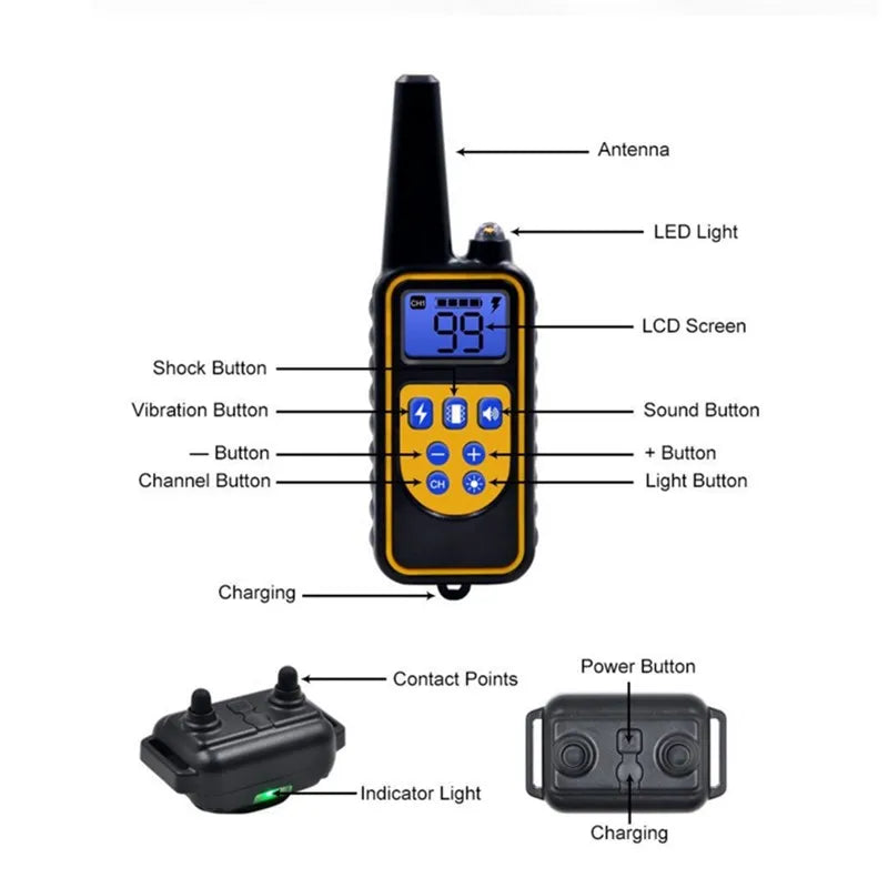 Amtn Club | Collier de Dressage Électronique Chien – Norvo