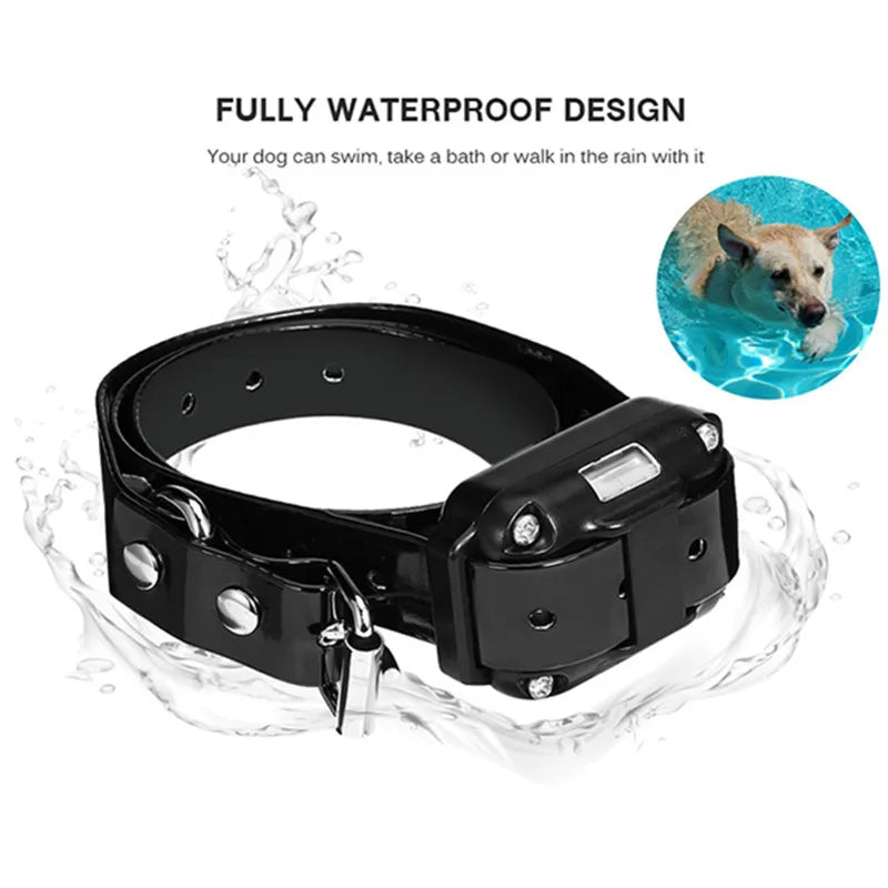 Amtn Club | Collier de Dressage Électronique Chien – Norvo