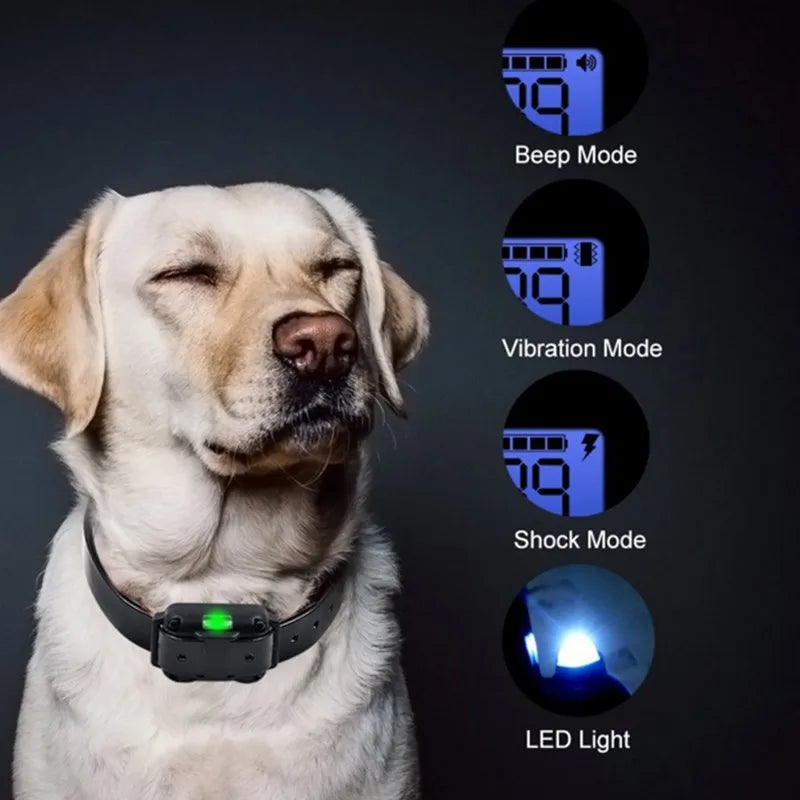 Amtn Club | Collier de Dressage Électronique Chien – Norvo