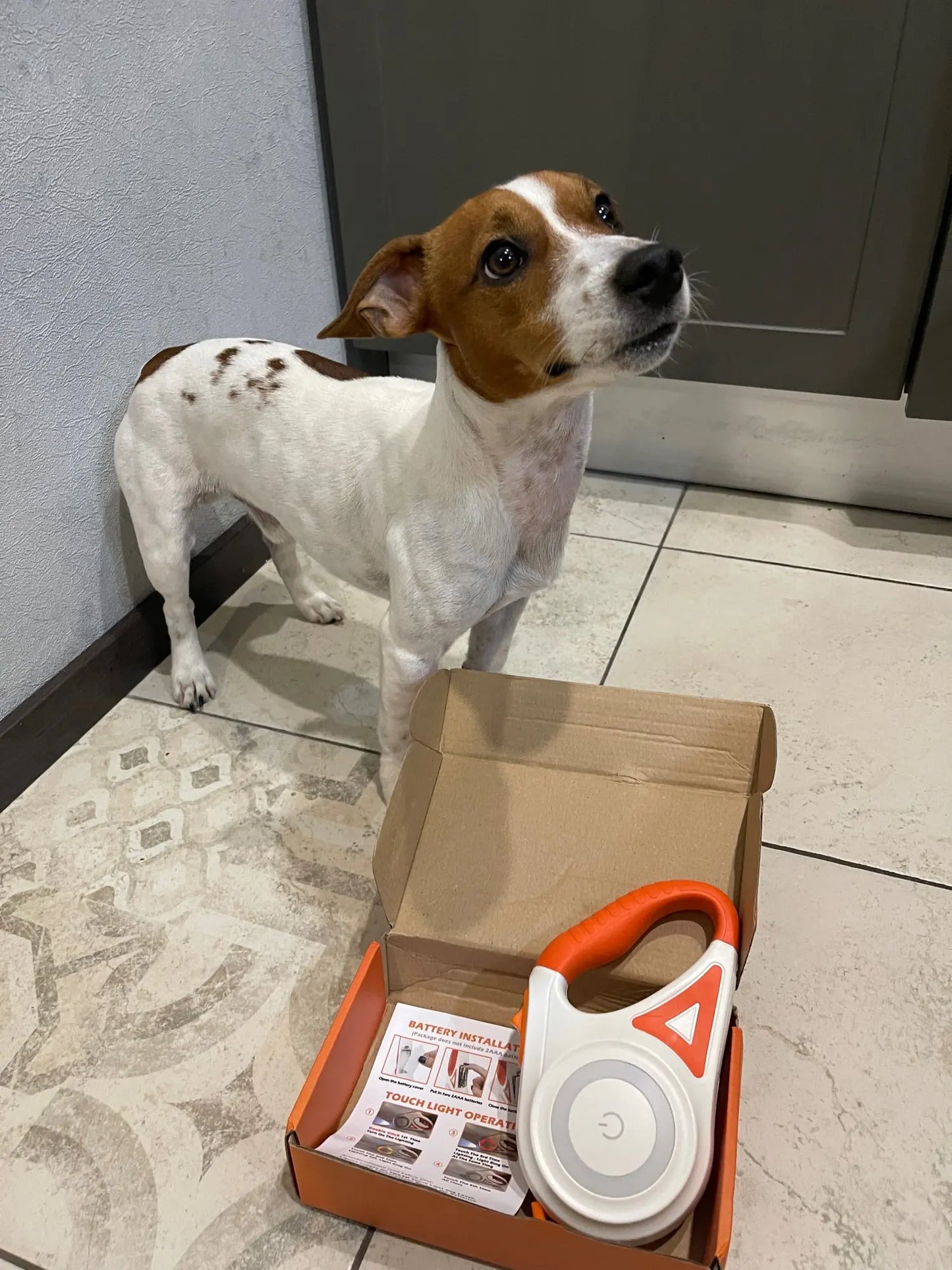 Amtn Club | Laisse LED Sécurisée pour Chien – NoblePaws