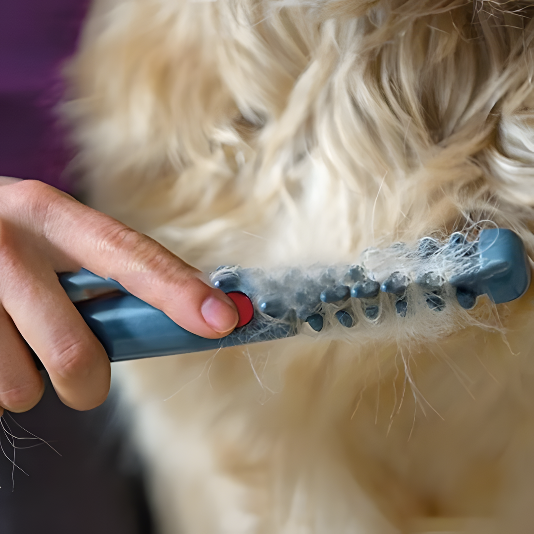Amtn Club | Tondeuse pour animaux sans nœuds – toilettage sans douleur pour chiens et chats tous types de pelage