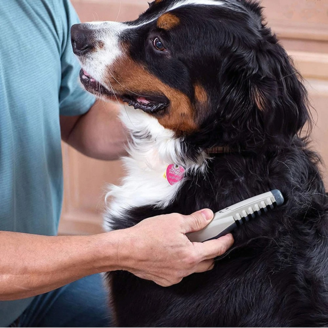 Amtn Club | Tondeuse pour animaux sans nœuds – toilettage sans douleur pour chiens et chats tous types de pelage