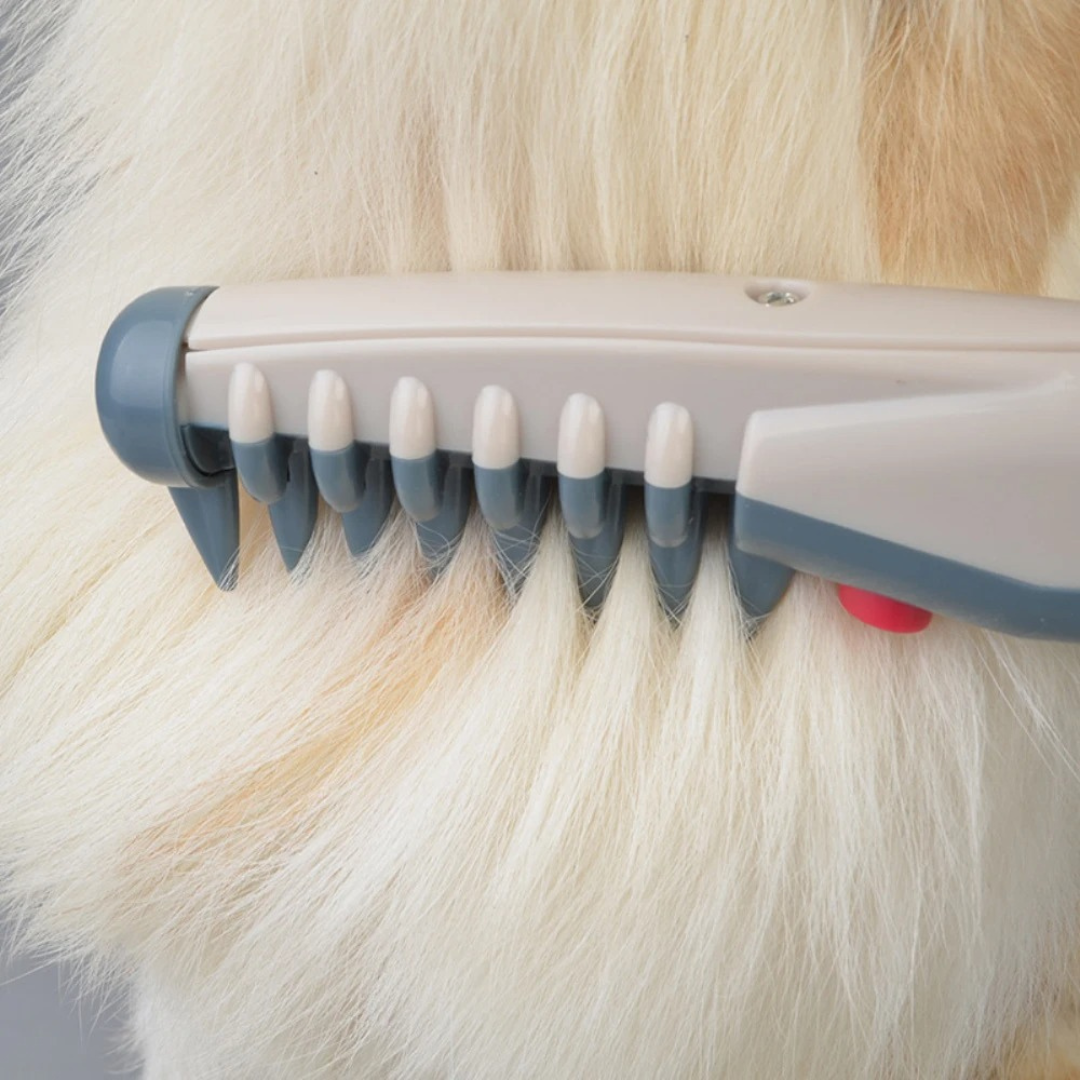 Amtn Club | Tondeuse pour animaux sans nœuds – toilettage sans douleur pour chiens et chats tous types de pelage