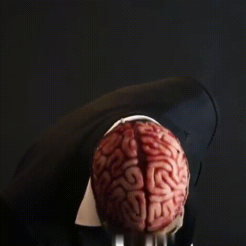 Masque Crâne avec Détail Cerveau – Amtn Club