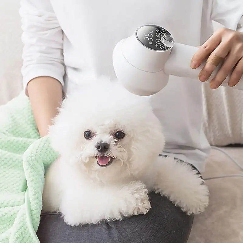 Amtn Club | Accessoire Toilettage Animaux – PurrfectDry