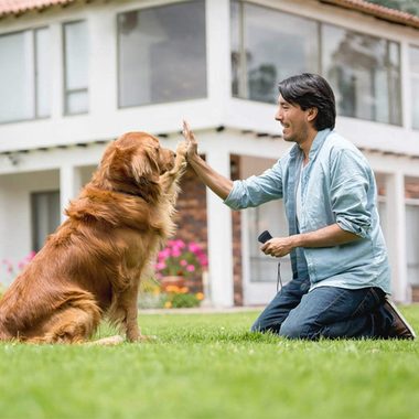 Amtn Club | Répulsif Ultrasonique Anti-Aboiement pour Chiens
