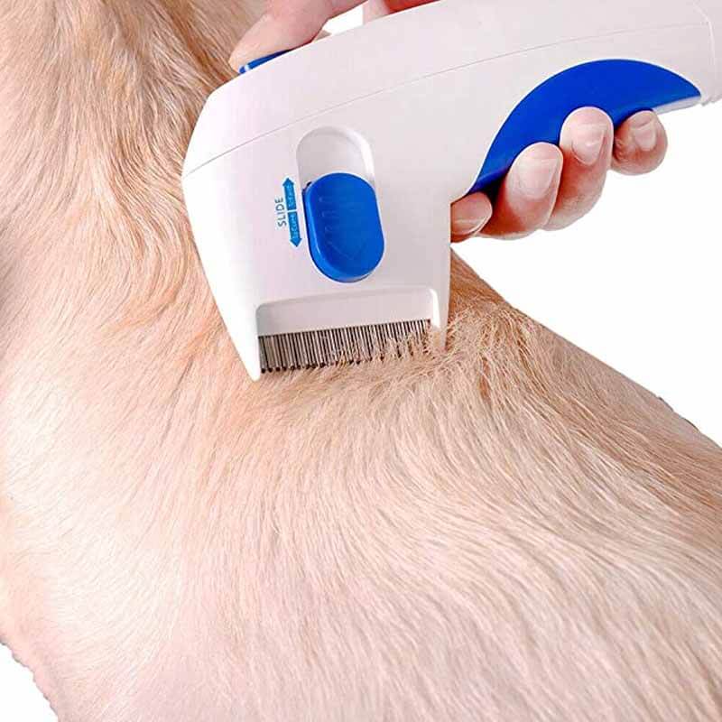 Amtn Club | Éliminateur Électrique de Puces pour Animaux – FleaZap