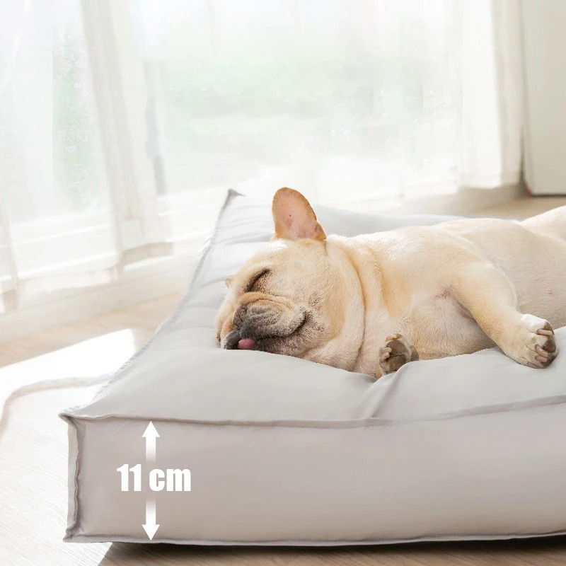 Amtn Club | Coussin Orthopédique Étanche pour Chien – FlexiRest