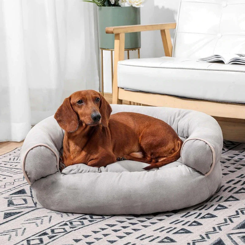 Amtn Club | Canapé Orthopédique Douillet pour Chien – CalmPaw