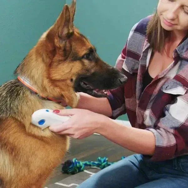 Amtn Club | Éliminateur Électrique de Puces pour Animaux – FleaZap
