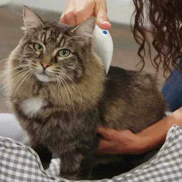 Amtn Club | Éliminateur Électrique de Puces pour Animaux – FleaZap